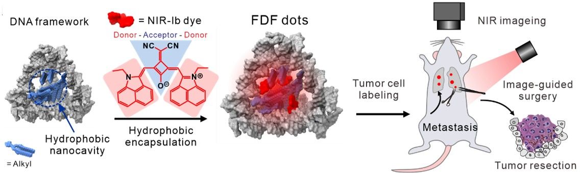 20241012-21.jpg 20241012-21.jpg