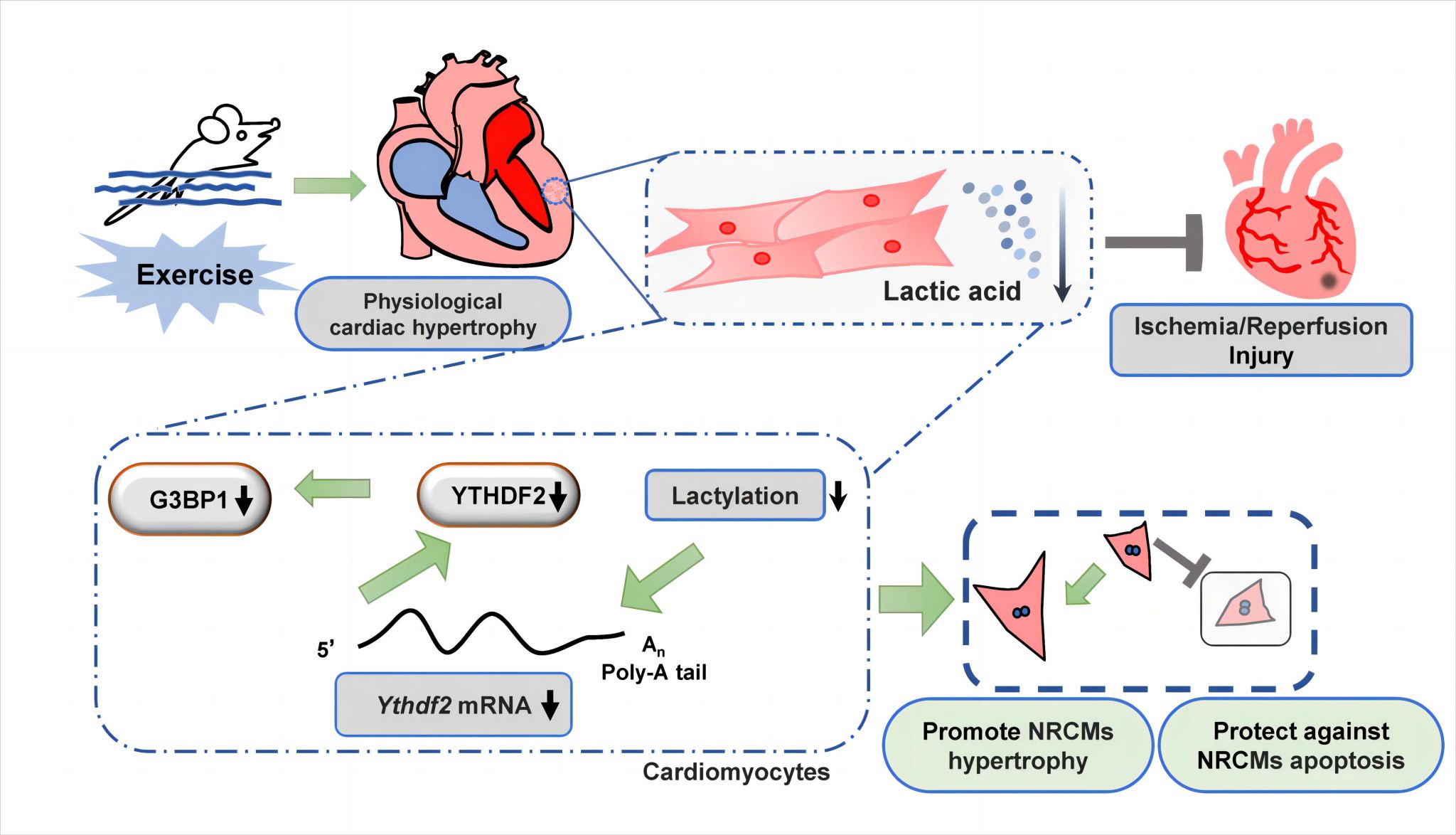 WechatIMG60.jpeg WechatIMG60.jpeg